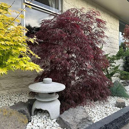 The Airport Homestay House Christchurch Exterior foto